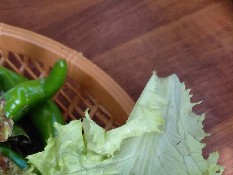 신선한 쌈 채소