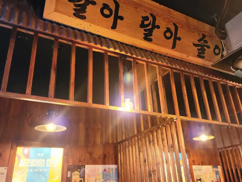 나무 격자 천장과 조명이 어우러진 실내 인테리어