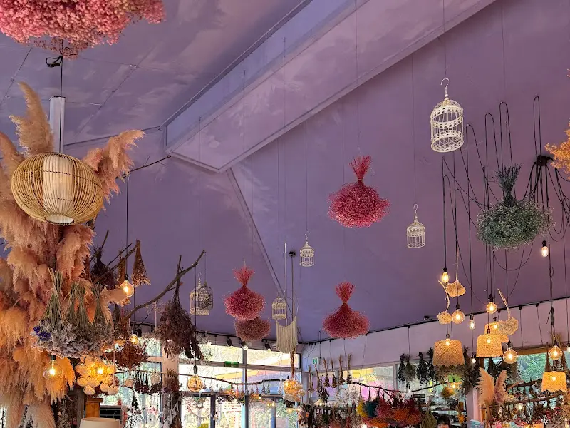 천장에 매달린 드라이플라워와 조명 장식