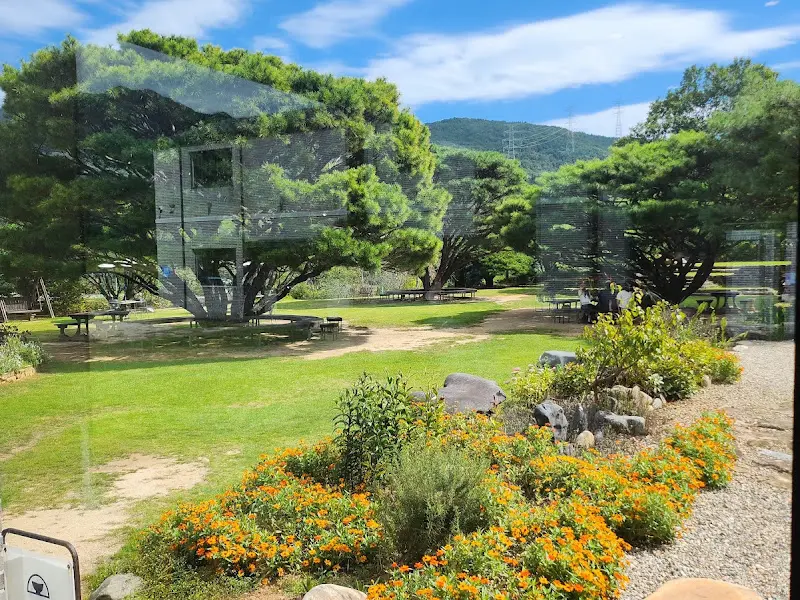 산청요 카페의 넓은 정원