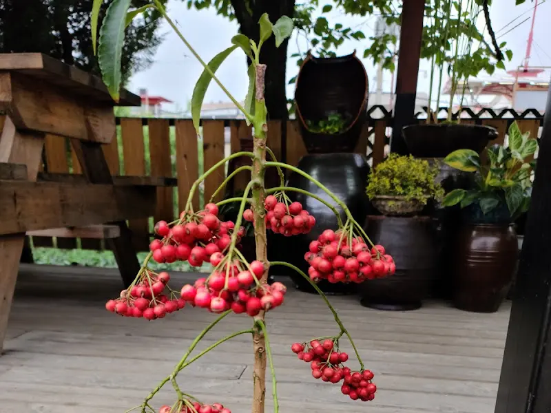 가게 외부 풍경