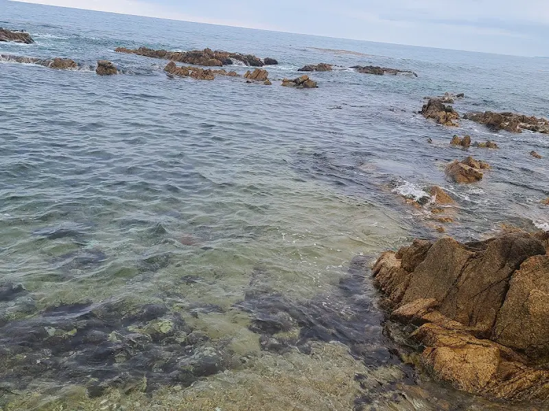 잔잔한 울진 바다