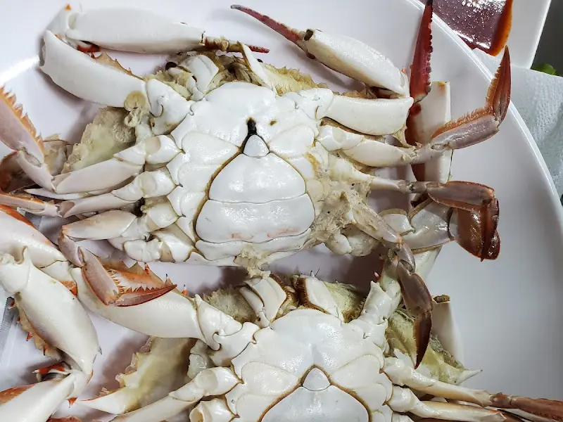 푸짐하게 담긴 게