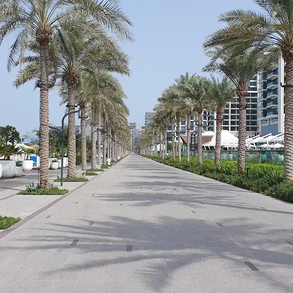 야자수가 늘어선 길