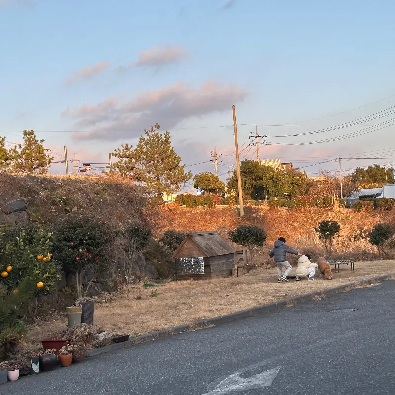 가게 앞 풍경, 저 멀리 석양이 지고 있다