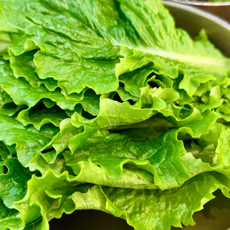 신선한 쌈 채소