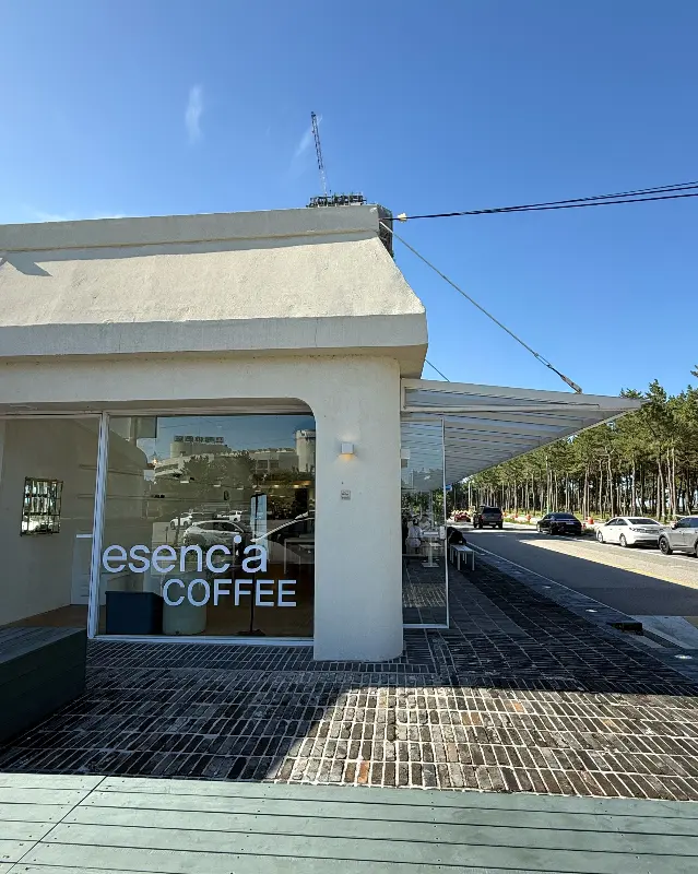 다양한 종류의 빵과 디저트