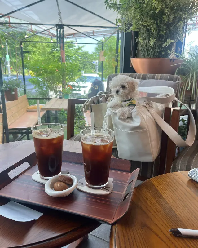 아이스 아메리카노와 커피콩빵