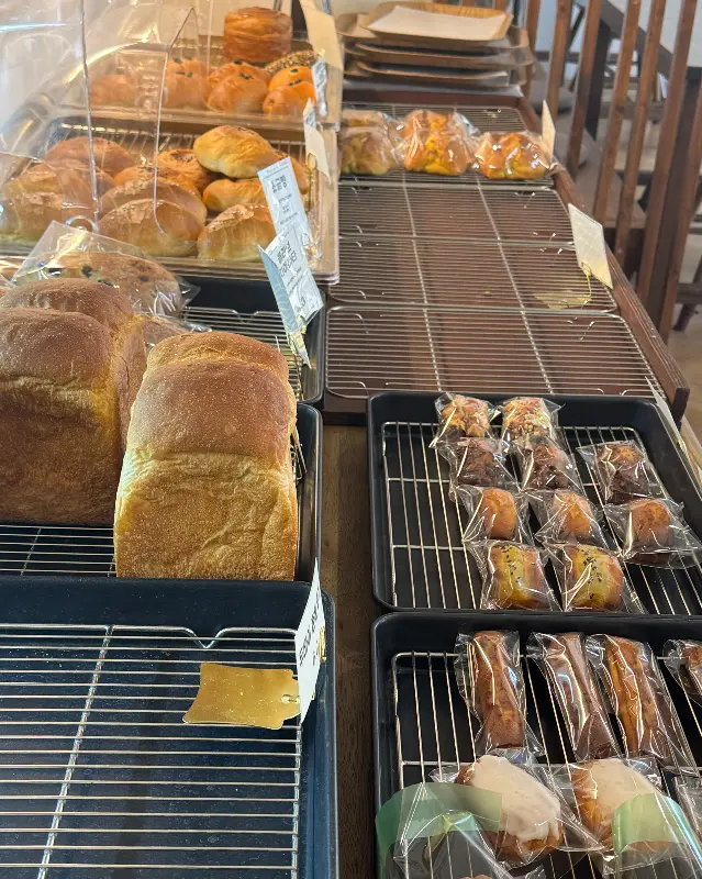 다양한 종류의 빵
