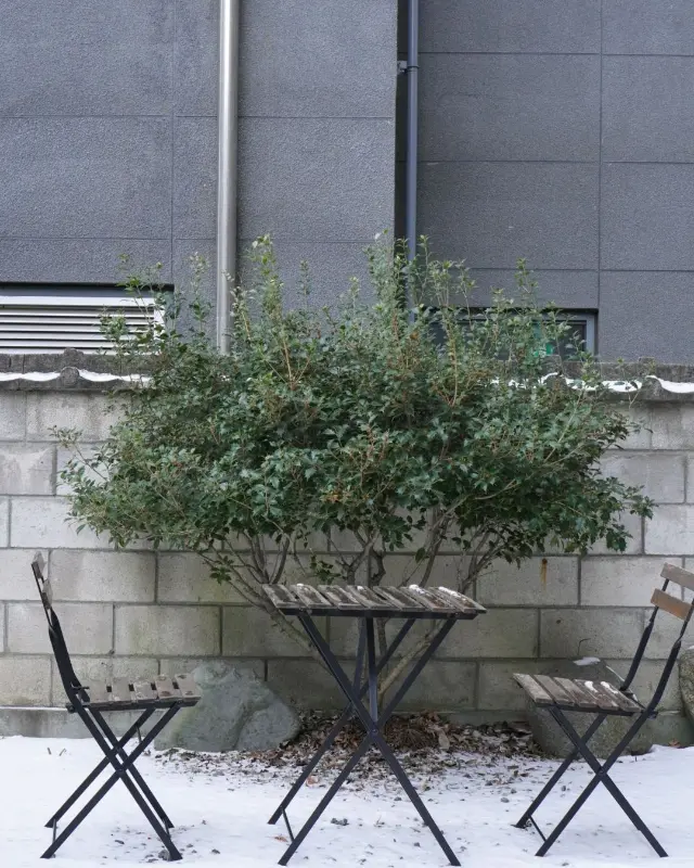 눈 덮인 야외 테이블과 의자