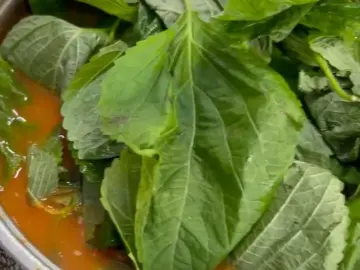 대전 사람만 안다는 그 곱창전골, 유성구에서 찾은 진짜 맛집