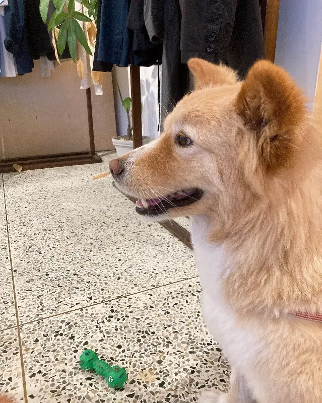 카페 내부 인테리어