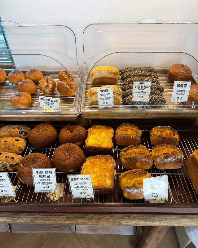 다양한 빵 종류