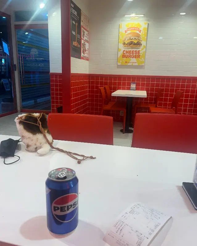 프레디버거 내부 좌석