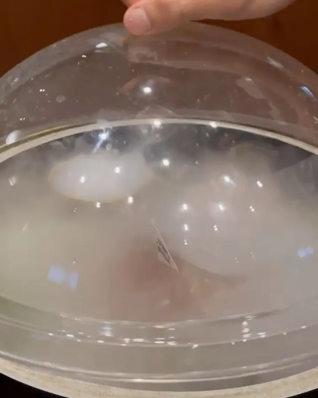 맛있는 족발 한 상