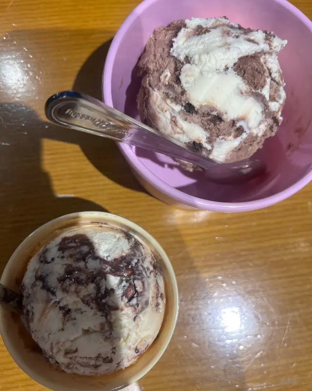 두 가지 맛 아이스크림