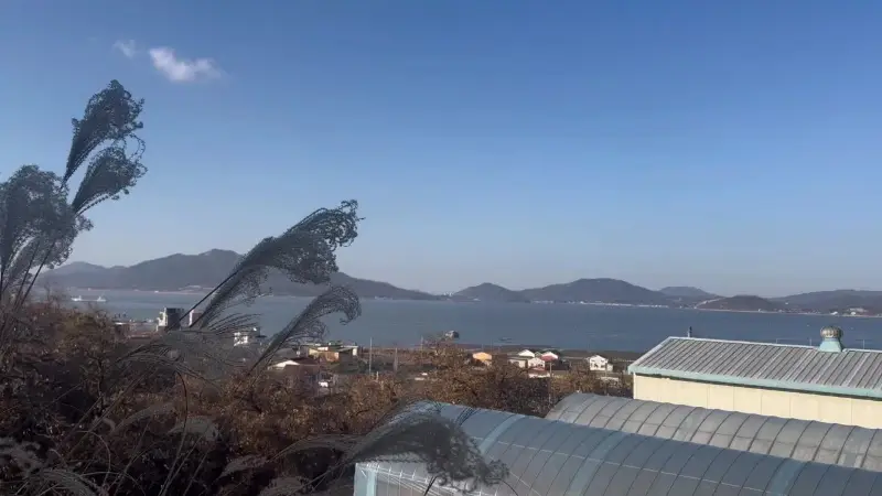 야생화뜰에서 바라본 후포항 노을