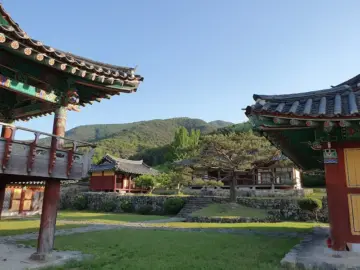 실패는 성공의 어머니! 홍두께 칼국수집 대신 찾은 밀양 콩요리 맛집 발견기