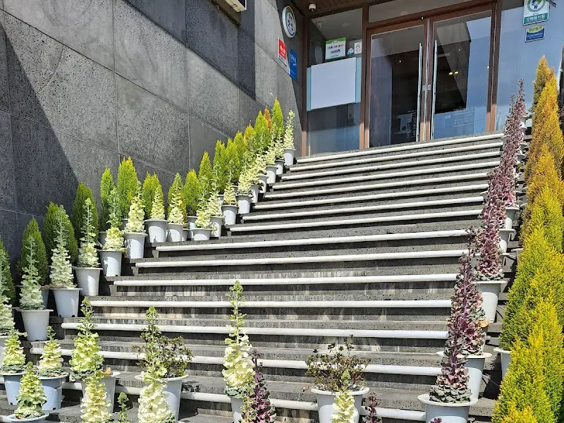 벚꽃피는고깃집 외관