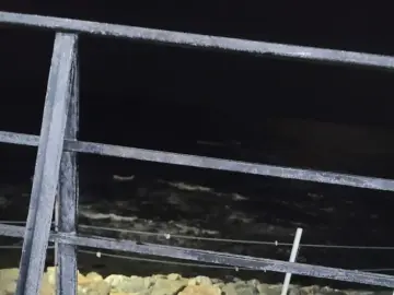 파도소리 ASMR 들으며 즐기는 울진 맛집, 칼국수와 탕수육의 환상 콜라보!