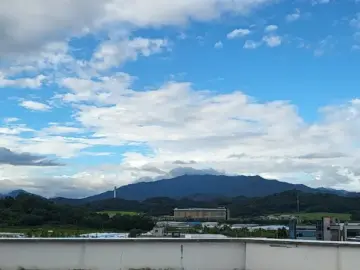 장수군의 숨은 보석, 수남식당! 김치갈비전골 레전드 맛집 발견!