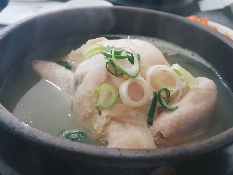 신촌 영양센터 삼계탕