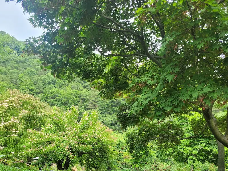 정원이야기 풍경