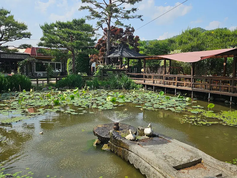 들풀 연못 풍경