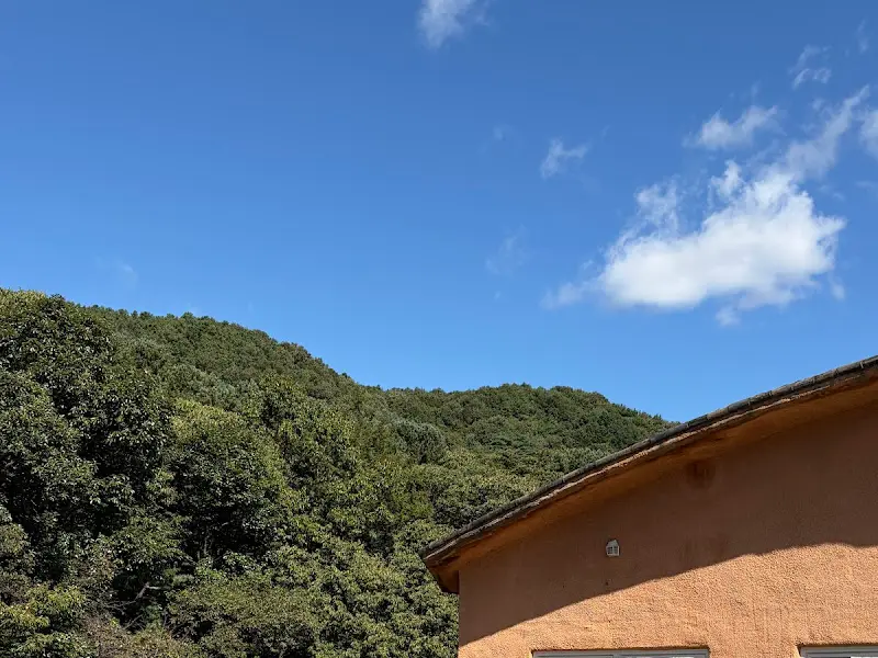 만두집 근처 풍경