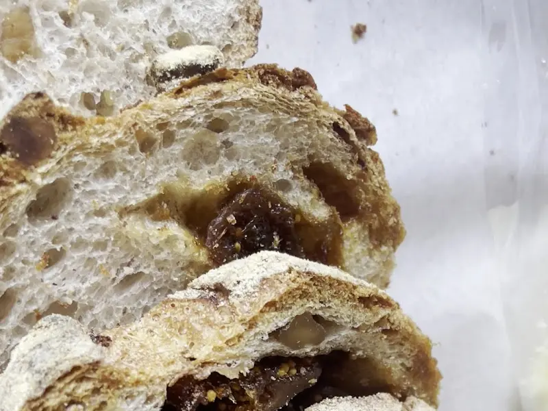 무화과 깜파뉴의 단면