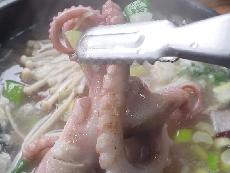 집게로 들어올린 낙지