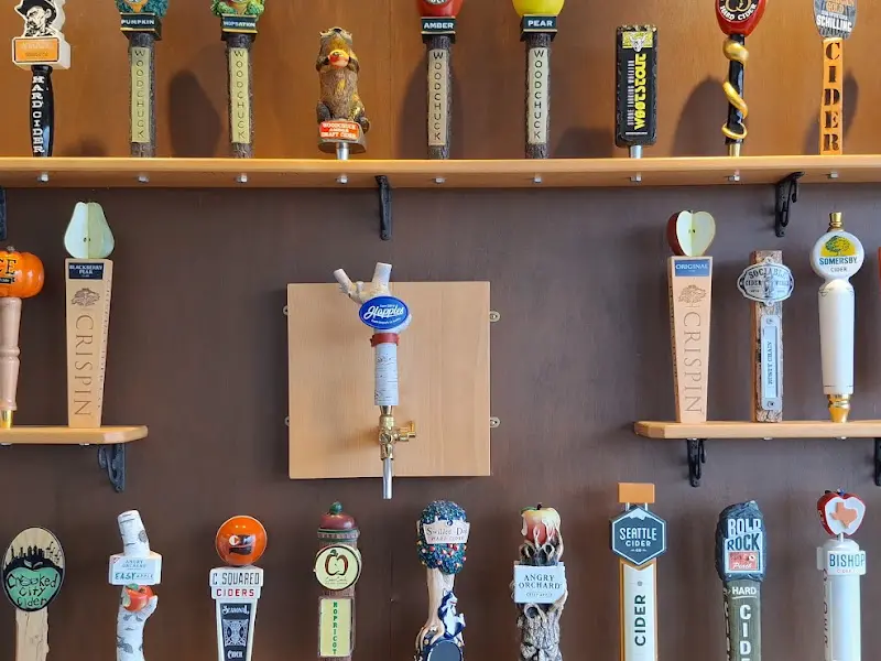 다양한 사이더 탭