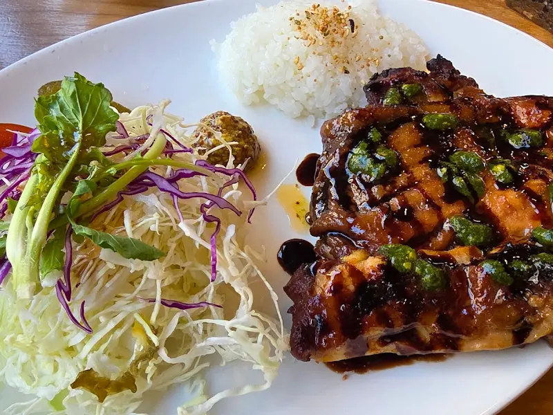 윤기가 좔좔 흐르는 치킨 스테이크