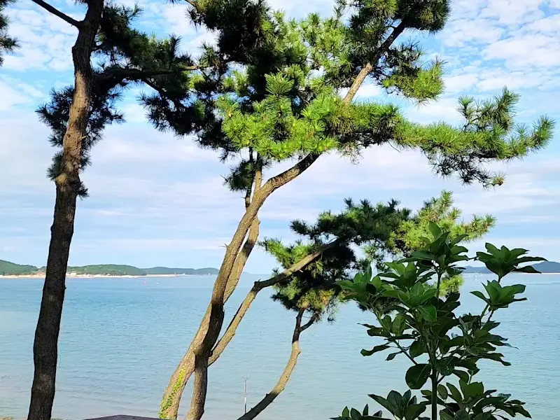 카페 주변 산책로에서 보이는 바다