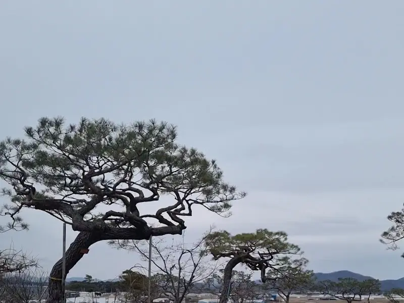 함안 뜬 카페 주변 풍경