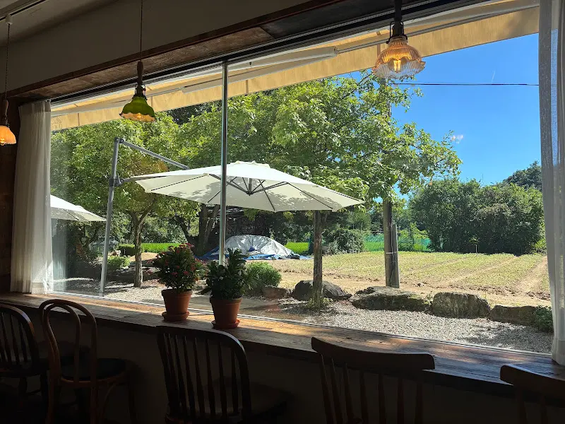 창밖으로 보이는 정원 풍경