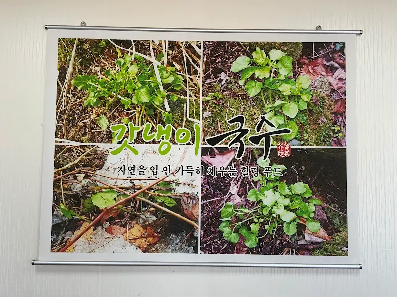 갓냉이 국수 소개 포스터