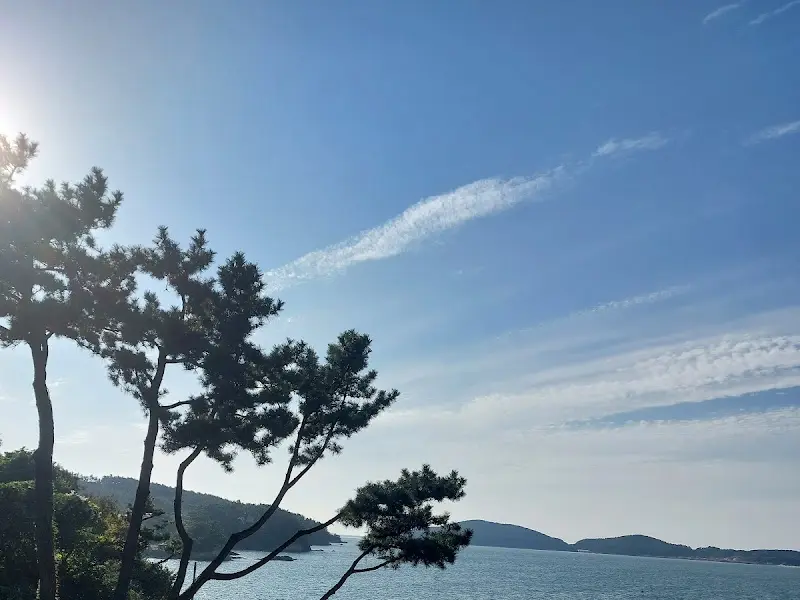 카페에서 바라본 원산도 바다