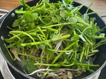 오늘도 혼밥 성공! 양천구에서 찾은 보물, 샤브손칼국수 맛집 탐험기