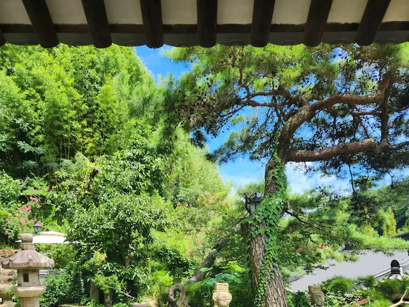 별채에서 바라본 풍경