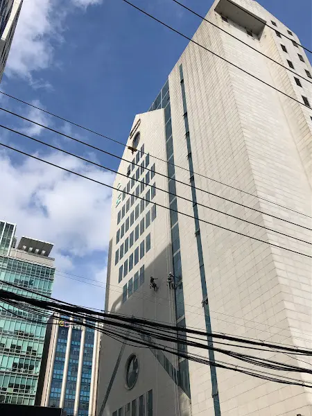 정갈하게 담긴 묵 요리