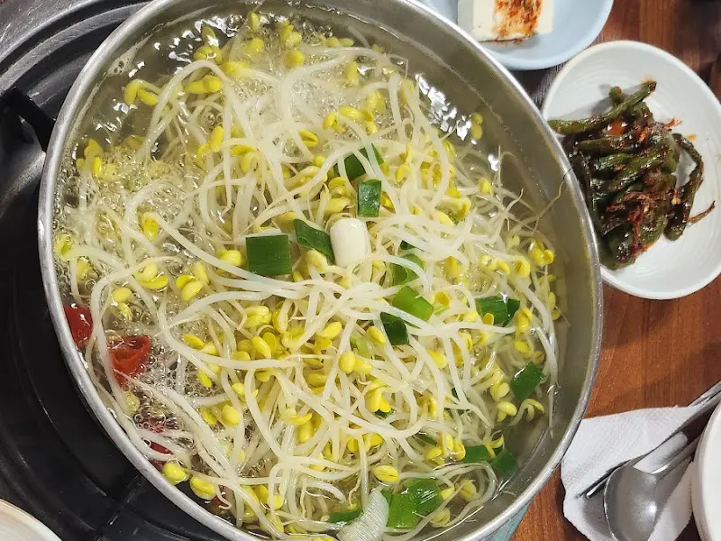 콩나물 클로즈업