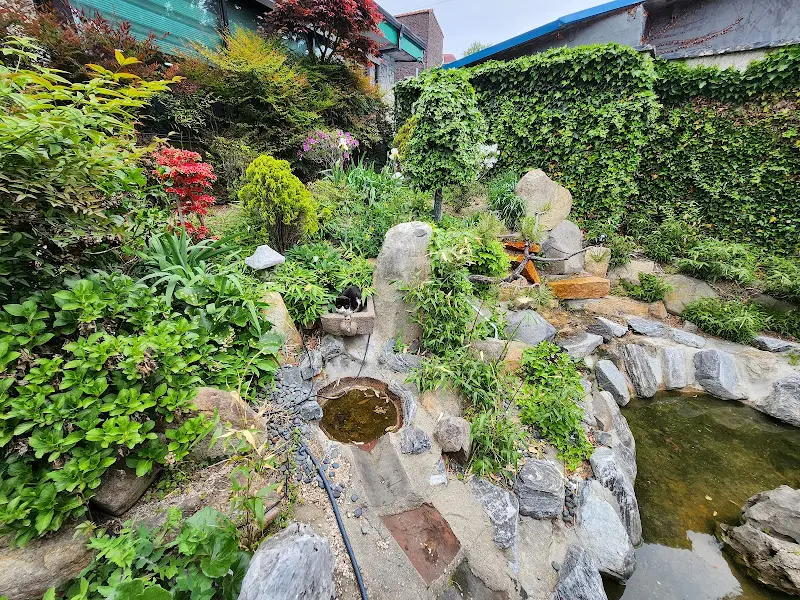 다채로운 일식 코스