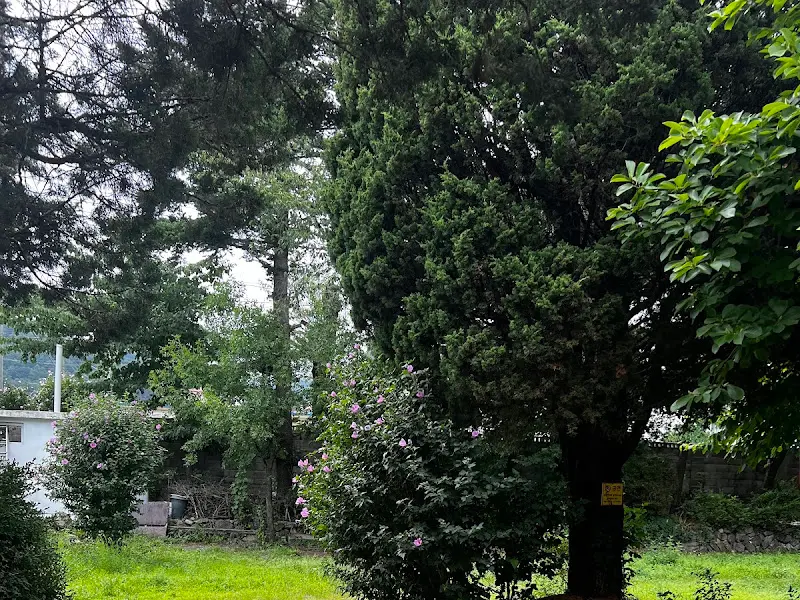 서학골 막국수 주변 풍경