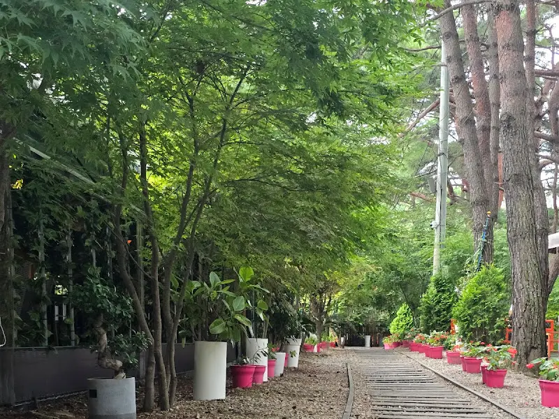 카페 주변 풍경