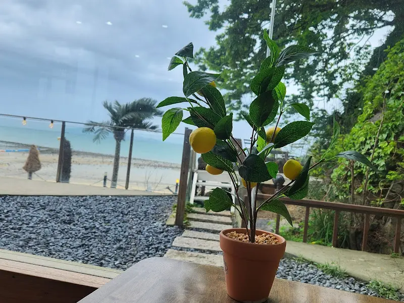 테이블 위 레몬 나무 화분