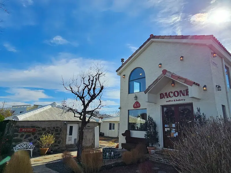 다코네카페 외부 정원