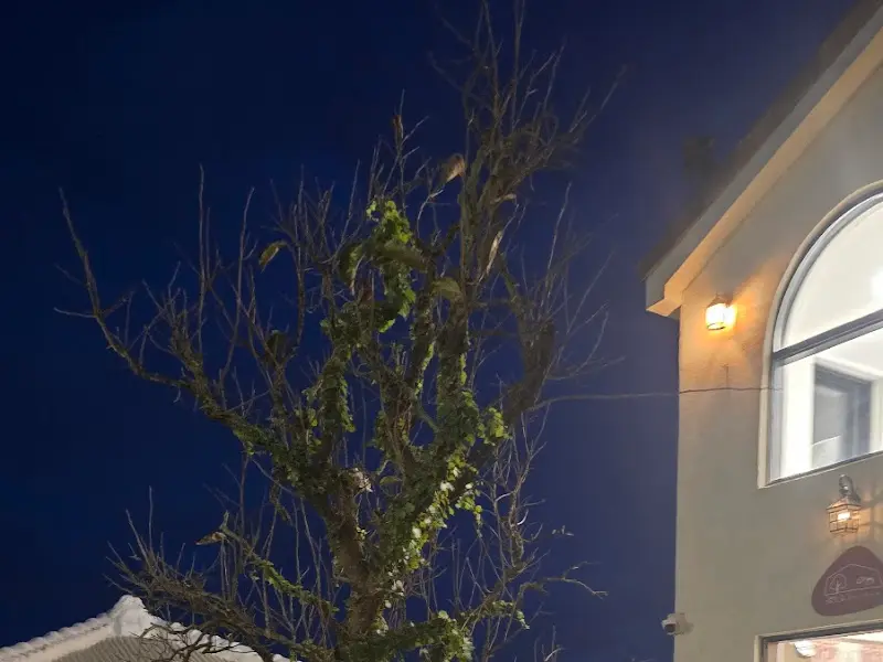 다코네카페 외부