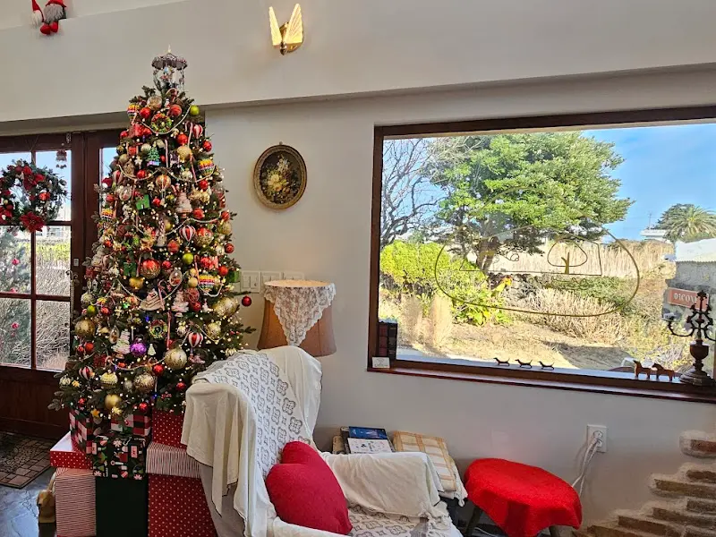 다코네카페 크리스마스 트리