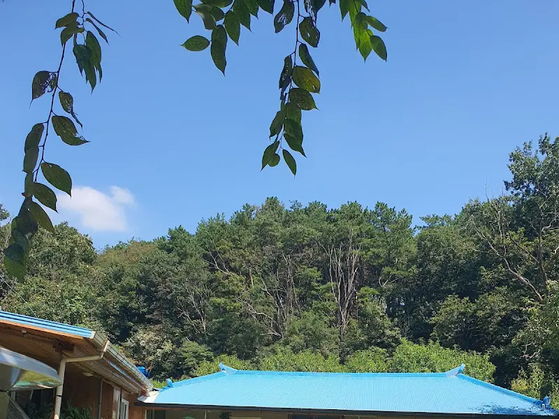 식당 주변 풍경